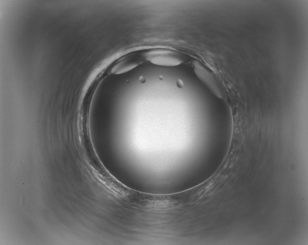 X0000080180342200612081407