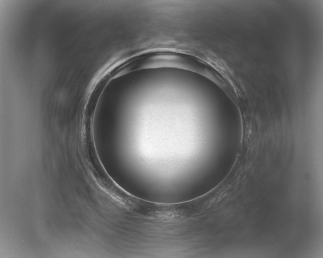 X0000080180344200612081407