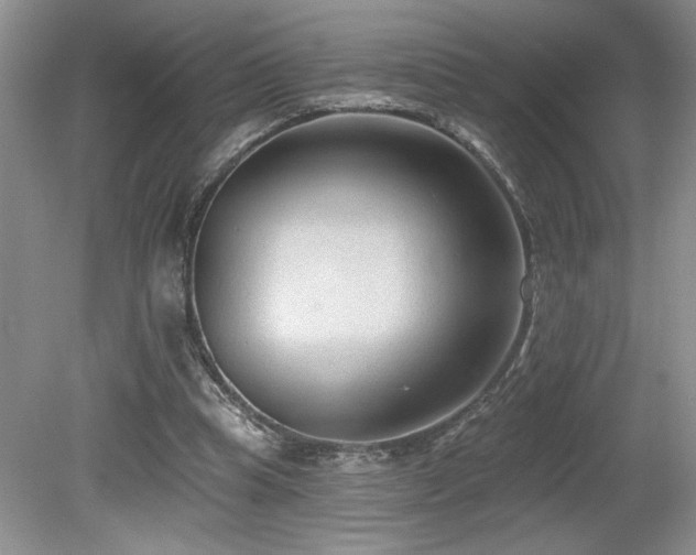 X0000080180345200612081407