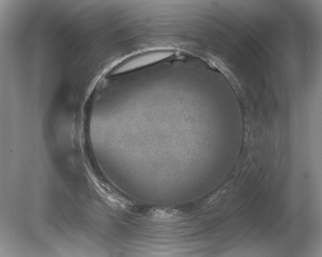 X0000080180346200612081407