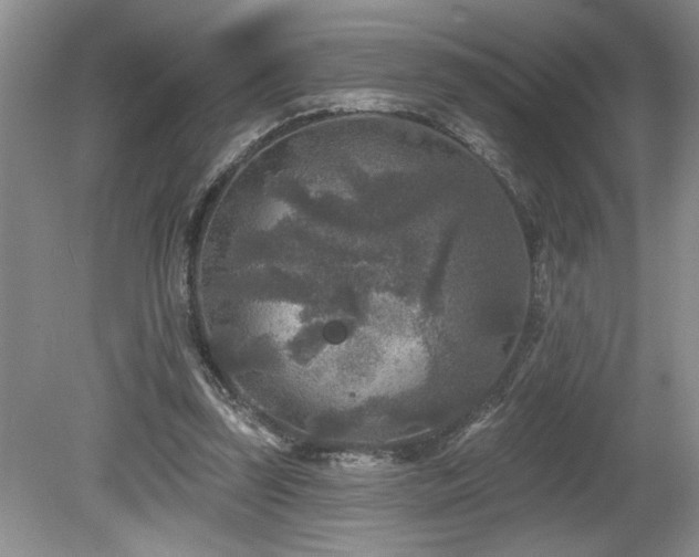 X0000080180347200612081407