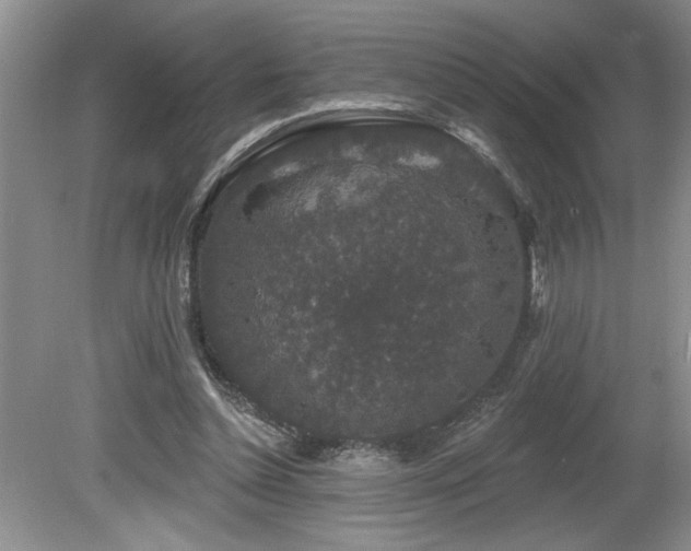 X0000080180348200612081407