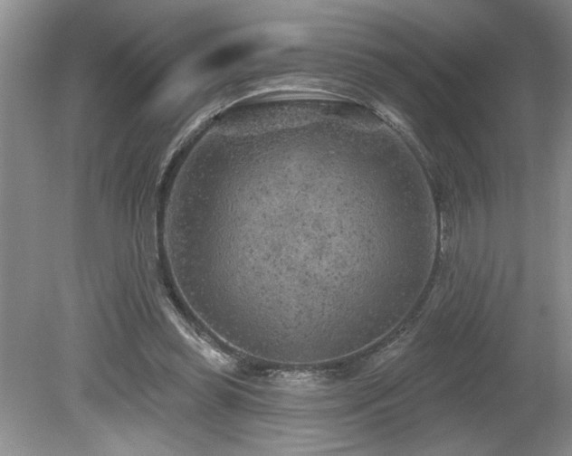 X0000080180349200612081407