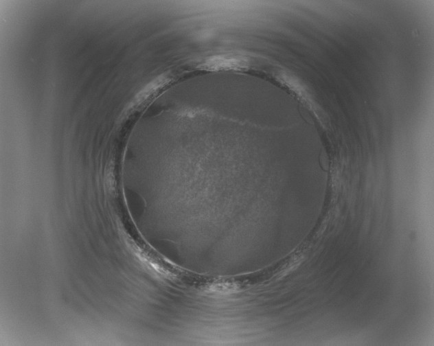 X0000080180353200612081407