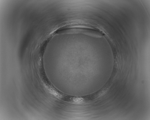 X0000080180355200612081407