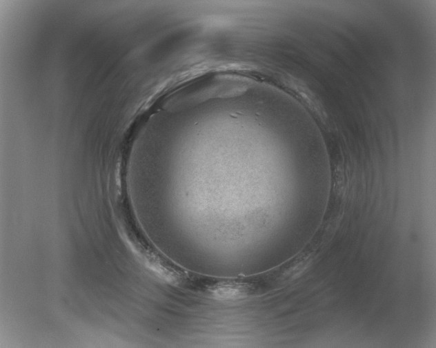 X0000080180358200612081407