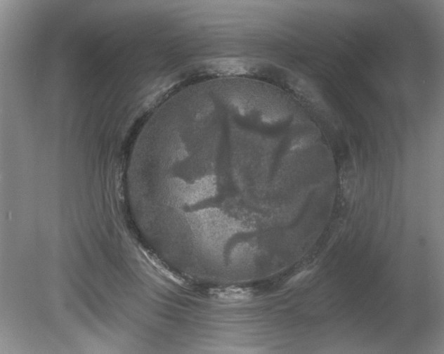 X0000080180359200612081407