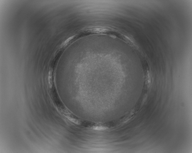 X0000080180360200612081407