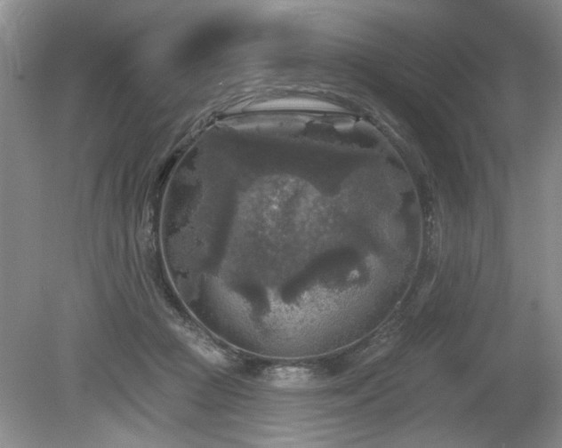 X0000080180361200612081407