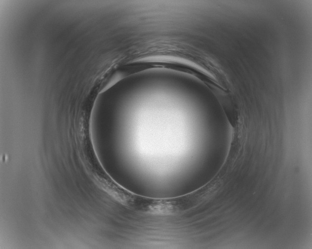 X0000080180362200612081407