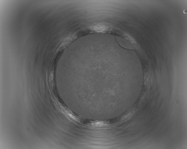 X0000080180365200612081407