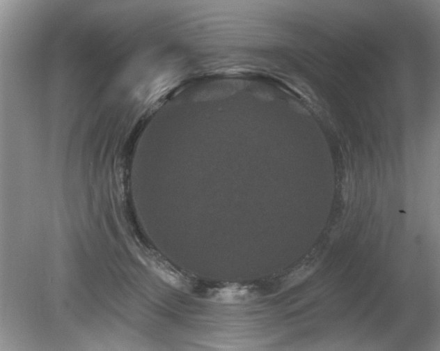 X0000080180366200612081407