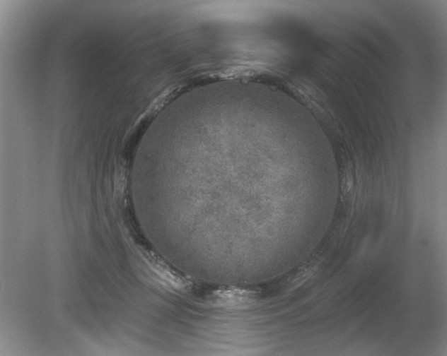 X0000080180367200612081407