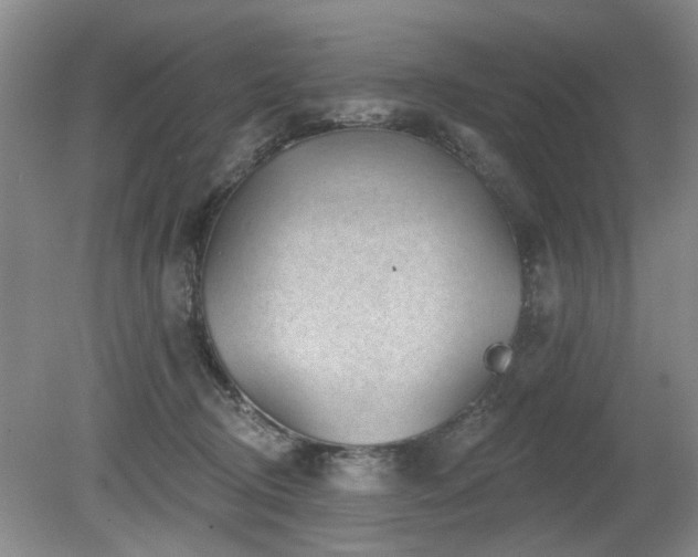 X0000080180370200612081407