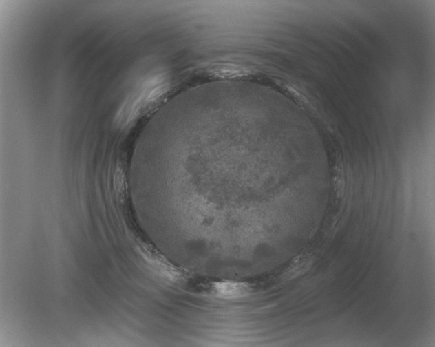 X0000080180371200612081407