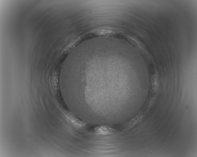 X0000080180372200612081407