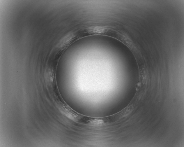 X0000080180374200612081407