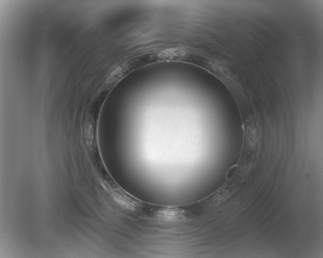 X0000080180375200612081407