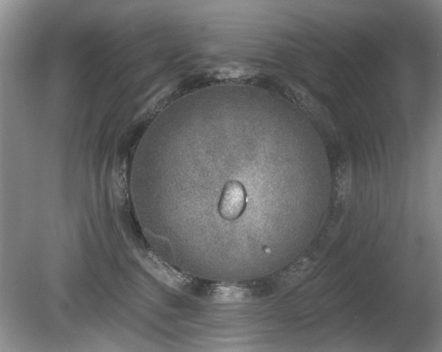 X0000080180376200612081407