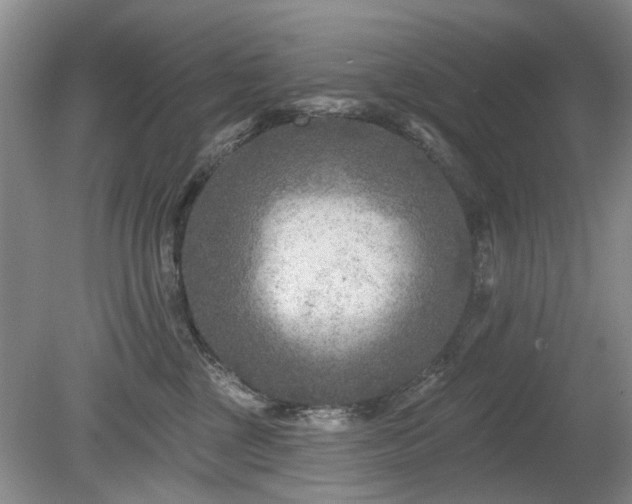 X0000080180377200612081407