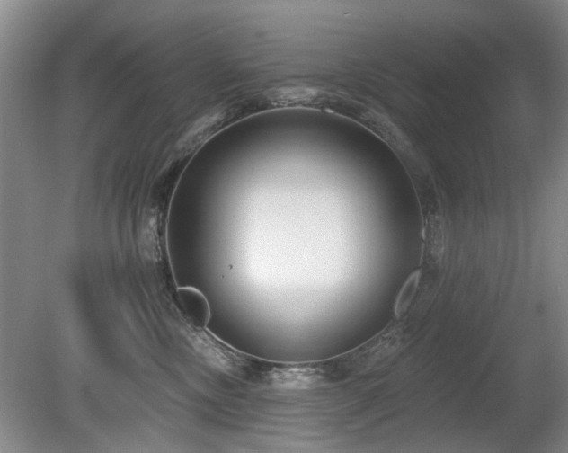 X0000080180378200612081407