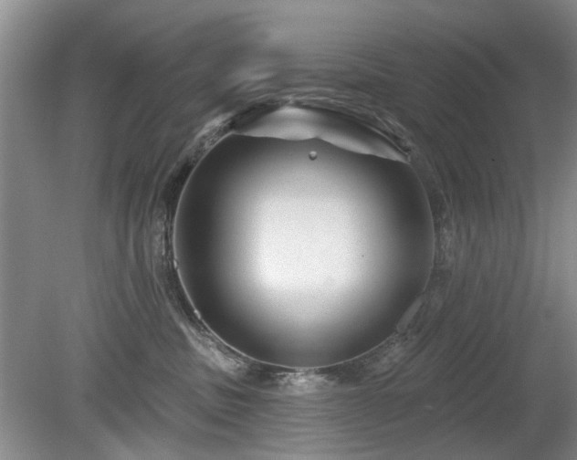 X0000080180379200612081407