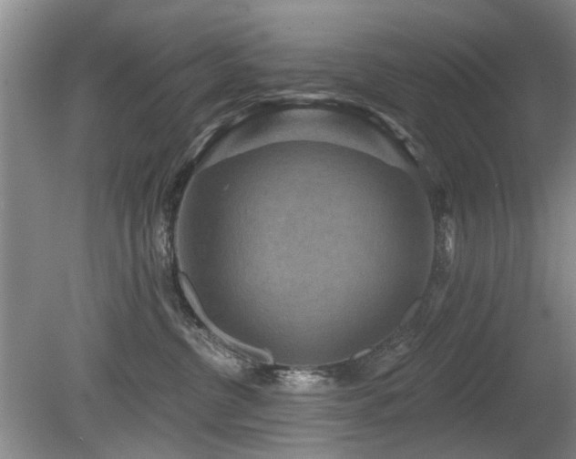 X0000080180380200612081407