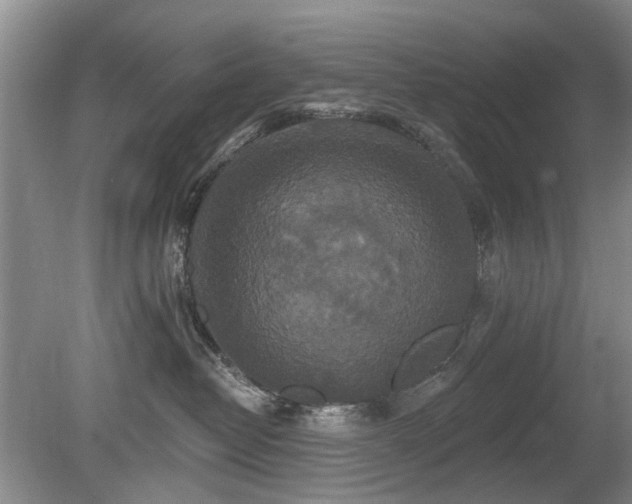 X0000080180382200612081407