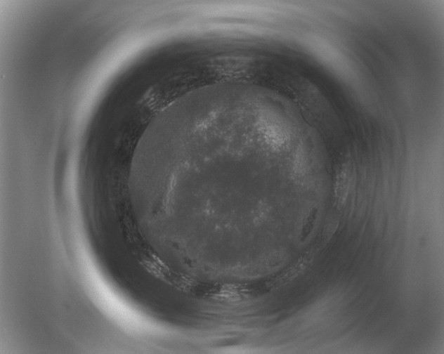 X0000080180383200612081407