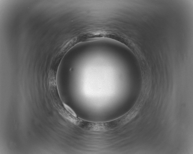 X0000080180384200612081407