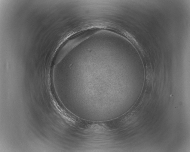 X0000080180386200612081407