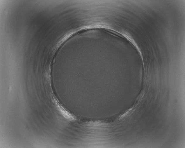 X0000080180389200612081407