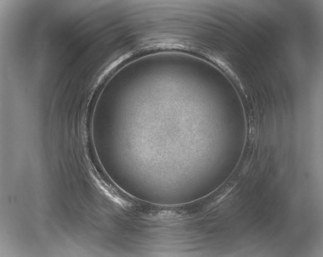 X0000080180390200612081407