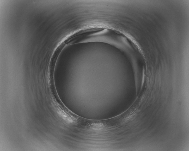 X0000080180391200612081407