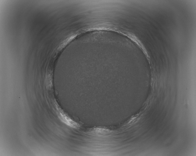 X0000080180393200612081407