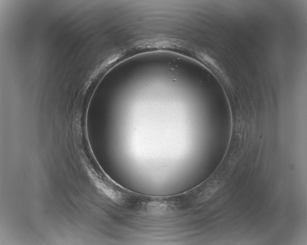 X0000080180394200612081407