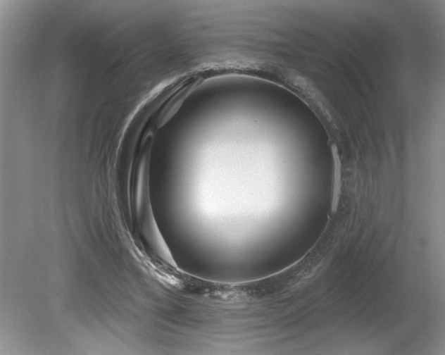 X0000080180395200612081406