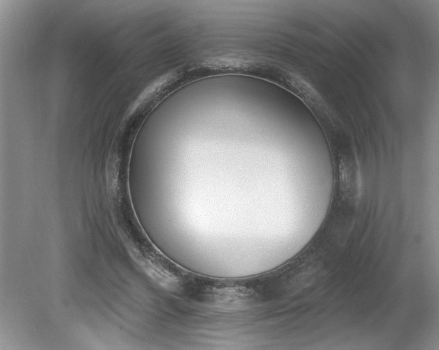 X0000080180396200612081406