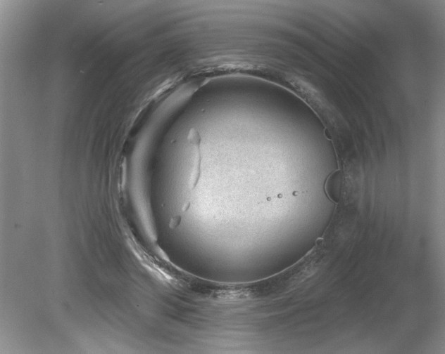 X0000080180398200612081406