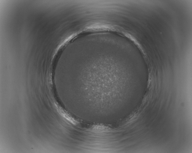 X0000080180399200612081406