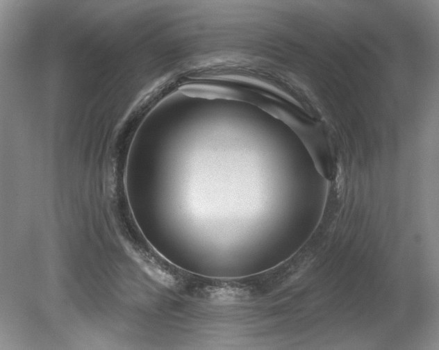 X0000080180400200612081406