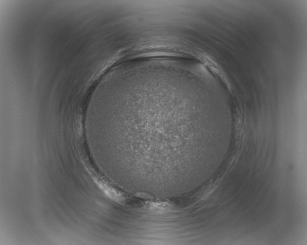 X0000080180401200612081406