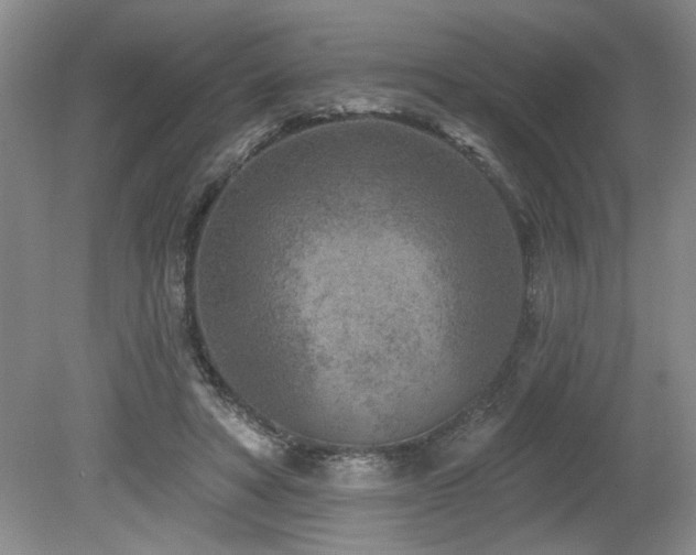 X0000080180402200612081406