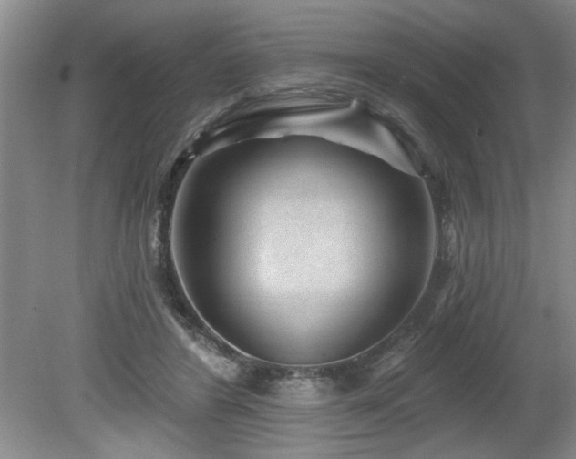 X0000080180404200612081406