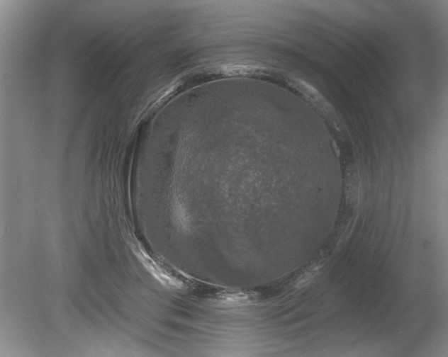 X0000080180405200612081406