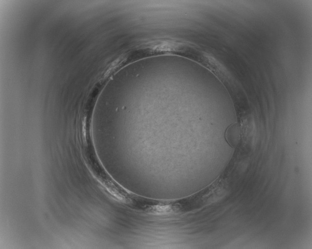 X0000080180406200612081406