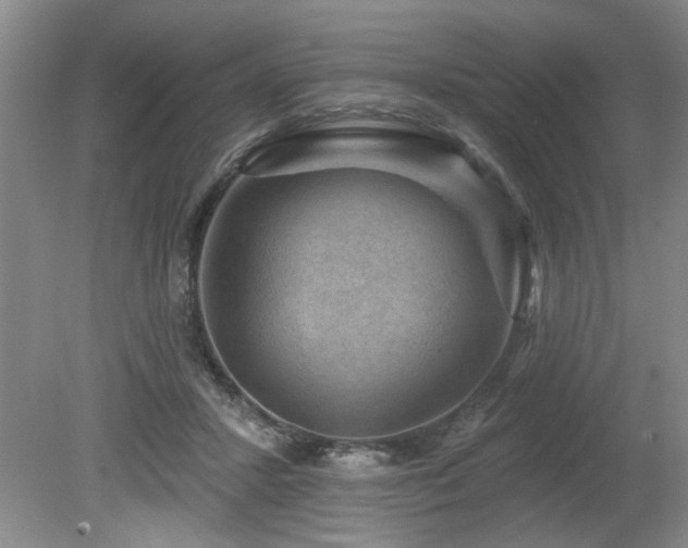 X0000080180407200612081406