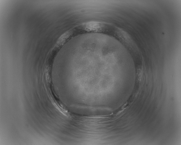 X0000080180408200612081406