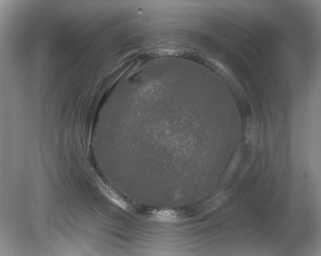 X0000080180409200612081406