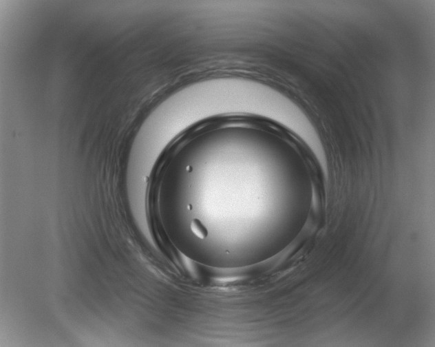 X0000080180411200612081406